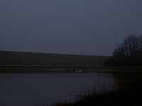 PICT6372.JPG