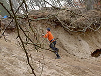 PICT6458.JPG