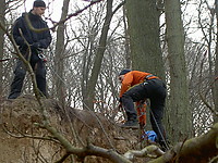 PICT6475.JPG