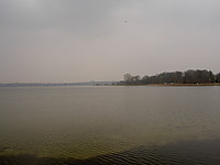 PICT6493.JPG