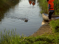PICT6715.JPG