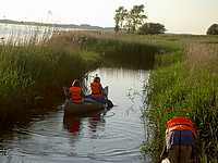 PICT6717.JPG