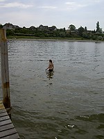 PICT6766.JPG