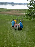 PICT6785.JPG