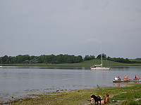 PICT6788.JPG